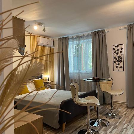 Urseni Studio Apartment Timişoara Exterior foto
