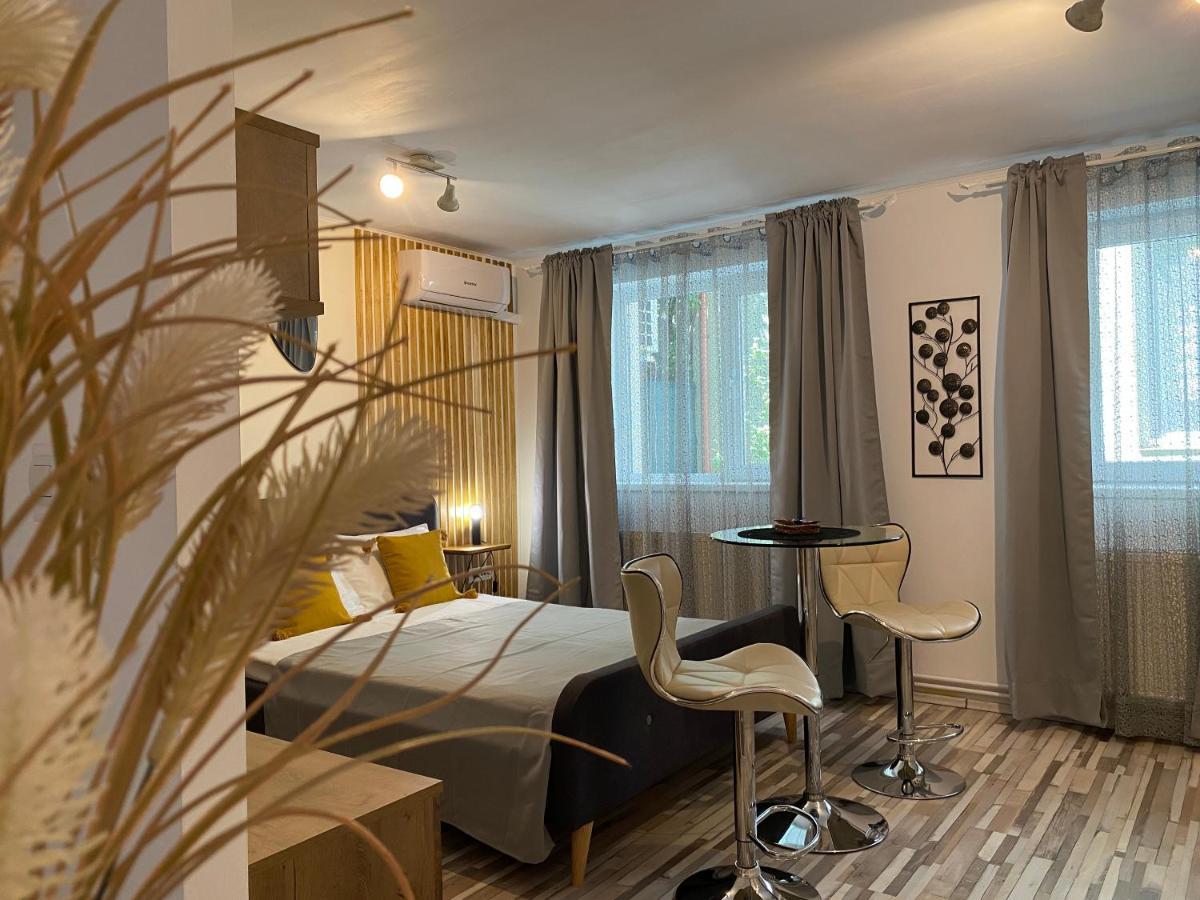 Urseni Studio Apartment Timişoara Exterior foto