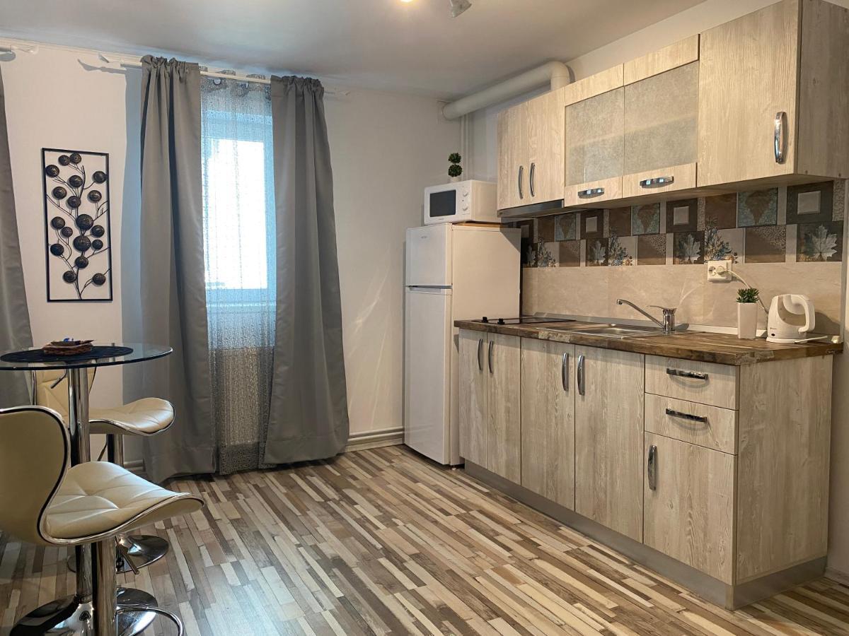 Urseni Studio Apartment Timişoara Exterior foto